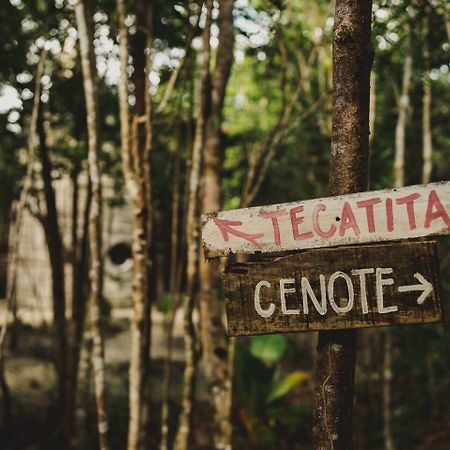 Casa Costal - Glamping Experience Hotel Puerto Morelos Luaran gambar