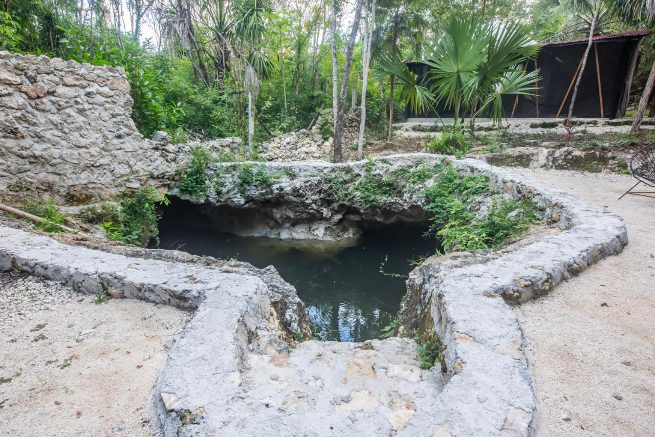 Casa Costal - Glamping Experience Hotel Puerto Morelos Luaran gambar
