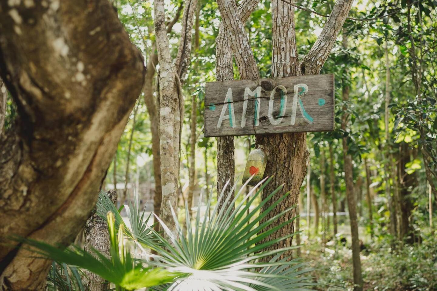 Casa Costal - Glamping Experience Hotel Puerto Morelos Luaran gambar
