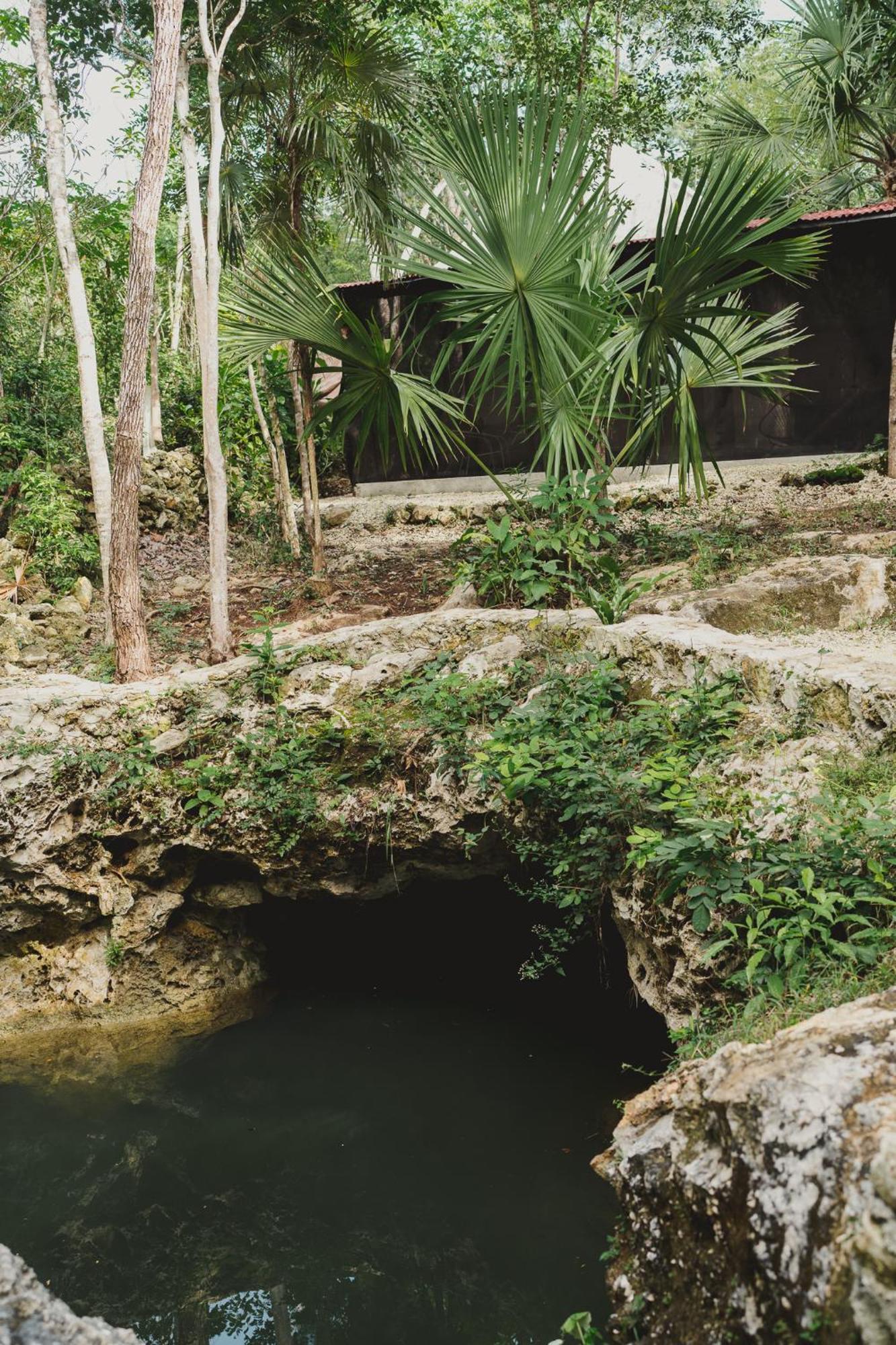 Casa Costal - Glamping Experience Hotel Puerto Morelos Bilik gambar
